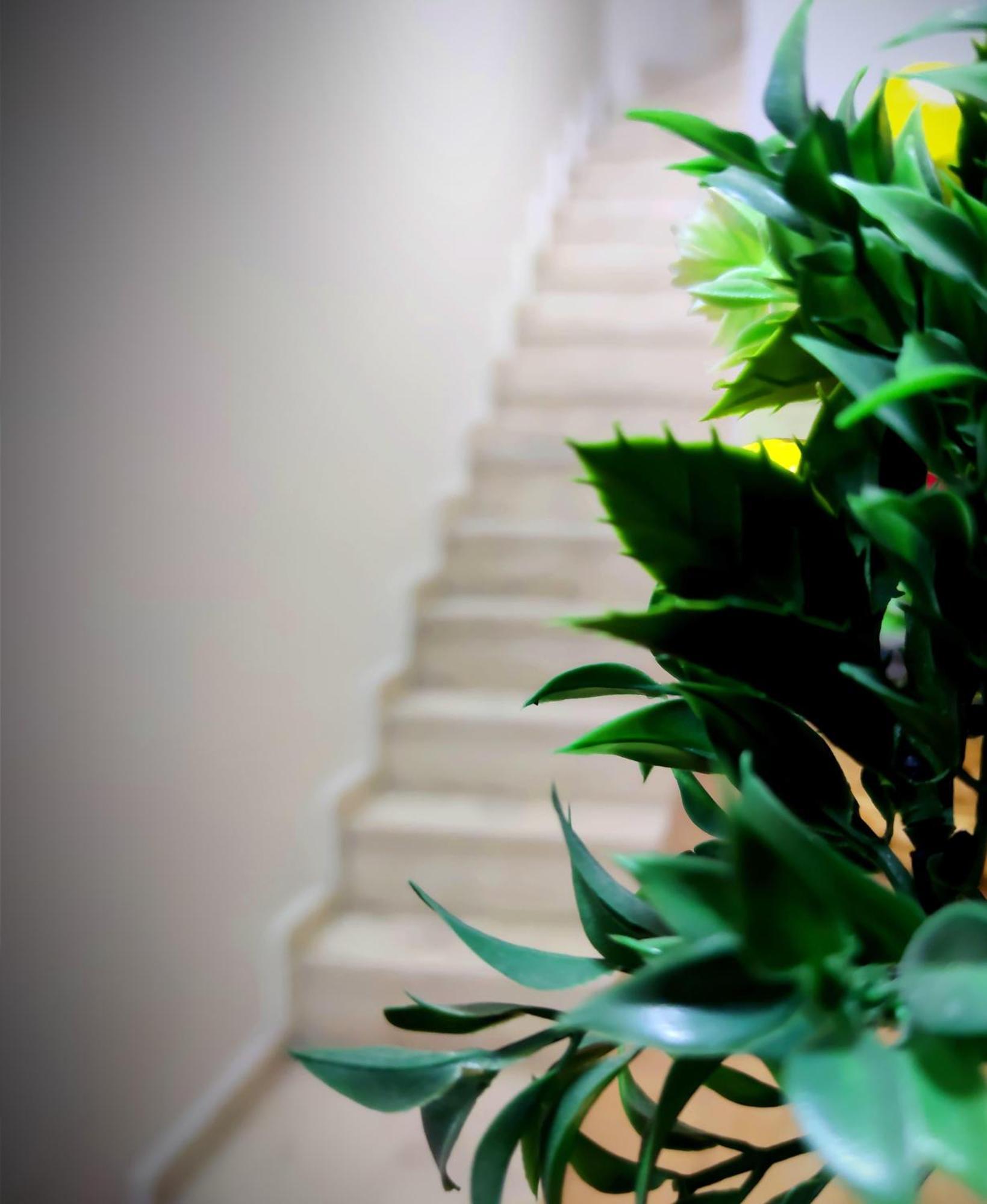 Mimoza Istiklal Apart Hotel Κωνσταντινούπολη Δωμάτιο φωτογραφία
